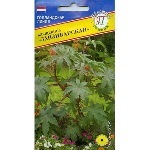 Клещевина Занзибарская Престиж артикул фото 1 Клещевина Занзибарская Престиж изображение 1 артикул 84490