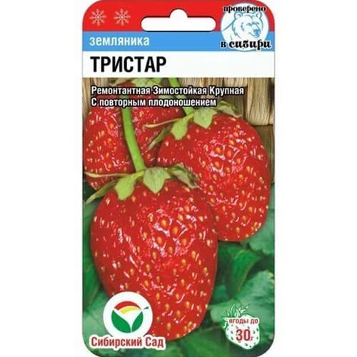 Земляника ремонтантная (крупноплодная) Тристар Сибирский сад изображение 1 артикул 65247