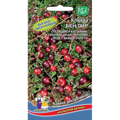 Клюква садовая Бен лир Уральский дачник изображение 1 артикул 94542