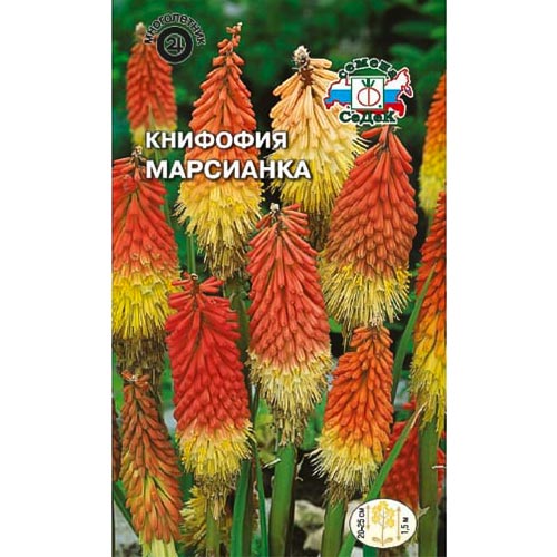 Книфофия Марсианка Седек изображение 1 артикул 93819