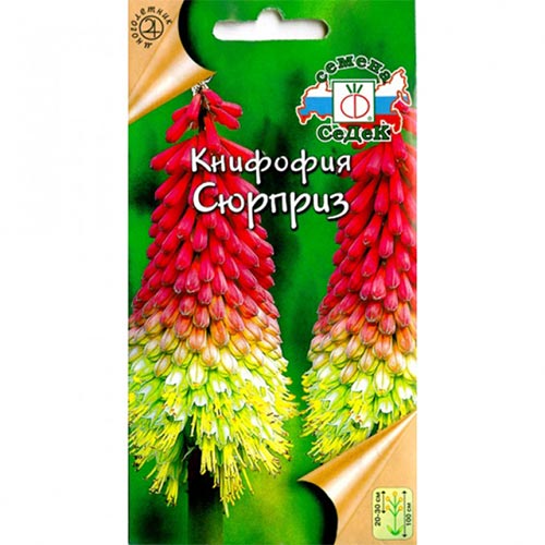 Книфофия Сюрприз Седек изображение 1 артикул 93820