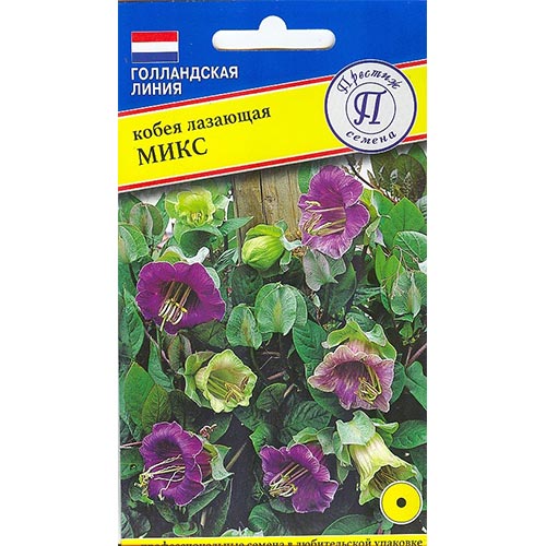 Кобея лазающая, смесь окрасок изображение 1 артикул 84492