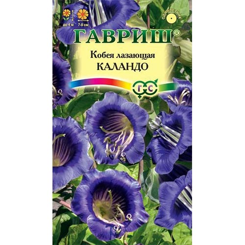 Кобея лазящая Каландо Гавриш изображение 1 артикул 92097