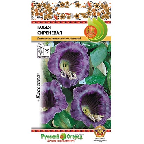 Кобея лазящая Сиреневая семена артикул фото 1 Кобея лазящая Сиреневая семена изображение 1 артикул 92531