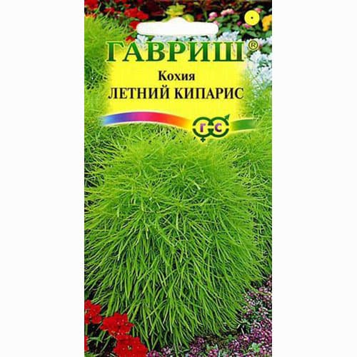 Кохия Летний кипарис Гавриш (66082): купить семена почтой в России ...