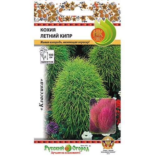 Кохия Летний Кипр НК изображение 1 артикул 92544