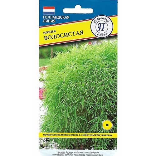 Кохия волосистая Престиж изображение 1 артикул 71974