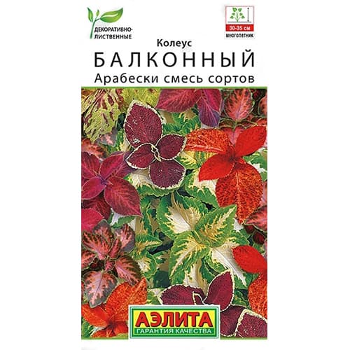 Колеус балконный Арабески, смесь окрасок Аэлита изображение 1 артикул 40346