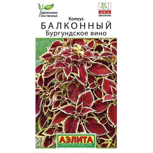 Колеус балконный Бургундское вино Аэлита изображение 1 артикул 40347