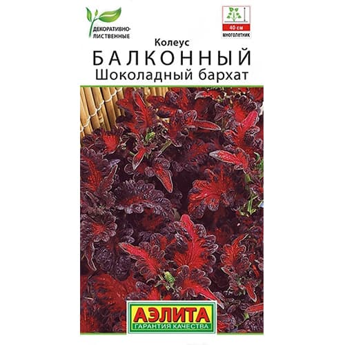 Колеус балконный Шоколадный бархат Аэлита изображение 1 артикул 40348
