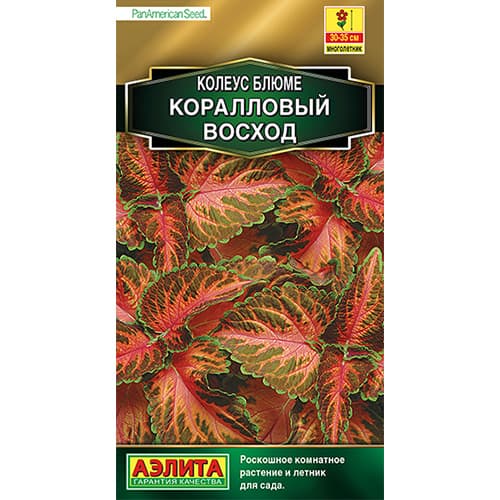 Колеус блюме Коралловый восход Аэлита изображение 1 артикул 98966