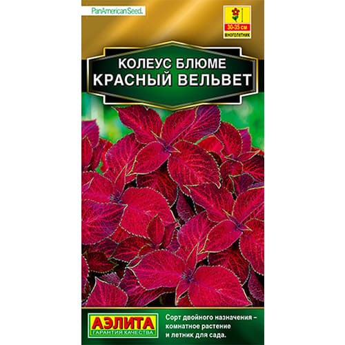 Колеус блюме Красный вельвет Аэлита изображение 1 артикул 98967