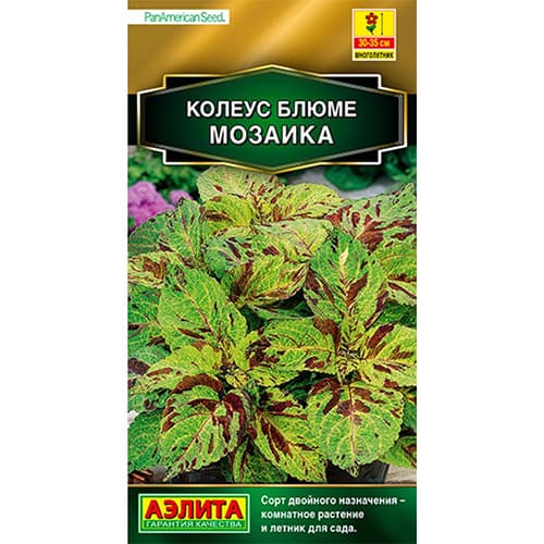 Колеус блюме Мозаика Аэлита изображение 1 артикул 98968