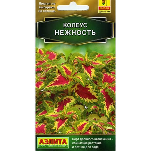 Колеус блюме Нежность Аэлита изображение 1 артикул 98969