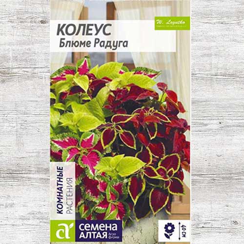 Колеус Блюме Радуга, смесь окрасок изображение 1 артикул 81676