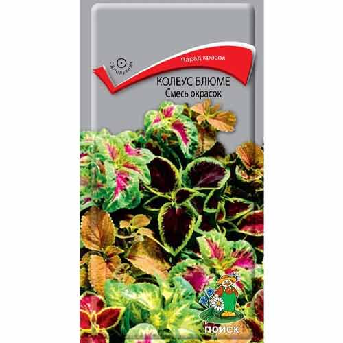 Колеус Блюме, смесь окрасок Поиск изображение 1 артикул 93003
