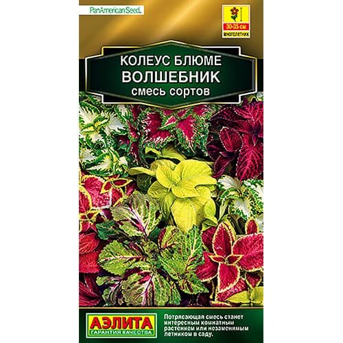 Колеус блюме Волшебник, смесь окрасок Аэлита изображение 1 артикул 98964