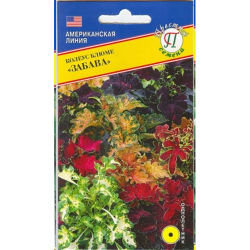 Колеус Блюме Забава, смесь окрасок Престиж артикул фото 1 Колеус Блюме Забава, смесь окрасок Престиж изображение 1 артикул 84493