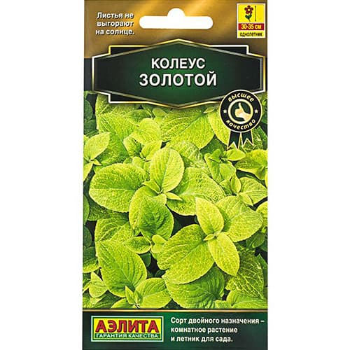 Колеус блюме Золотой Аэлита изображение 1 артикул 98965