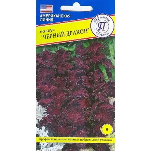 Колеус Черный дракон Престиж артикул фото 1 Колеус Черный дракон Престиж изображение 1 артикул 65848