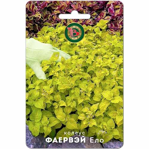 Колеус Фаервэй Ело Биотехника изображение 1 артикул 87960