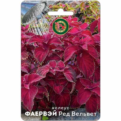 Колеус Фаервэй Ред Вельвет Биотехника изображение 1 артикул 87962