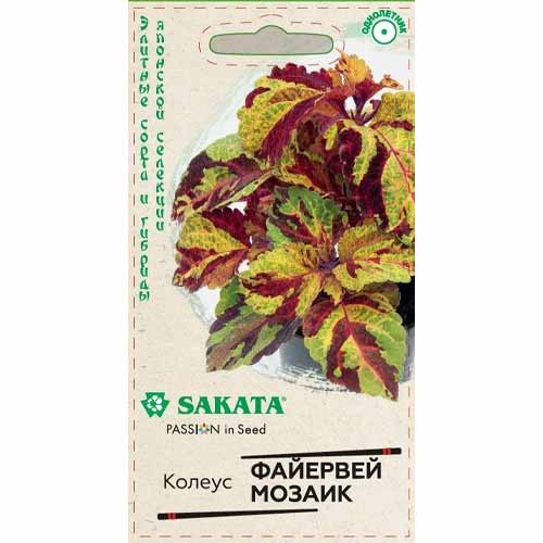 Колеус Файервей Мозаик Гавриш артикул фото 1 Колеус Файервей Мозаик Гавриш изображение 1 артикул 40589