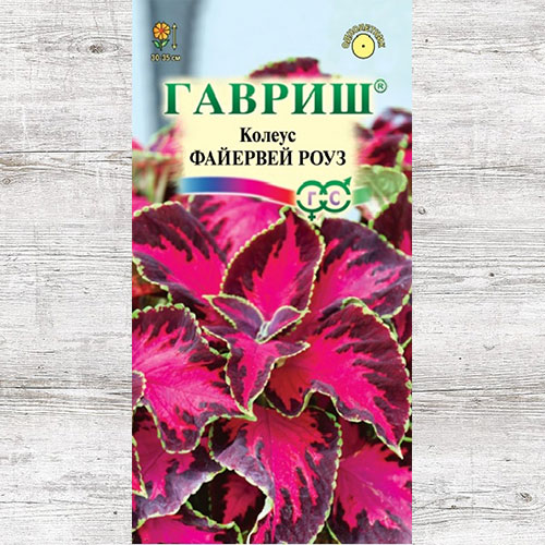 Колеус Файервей Роуз Гавриш изображение 1 артикул 82391