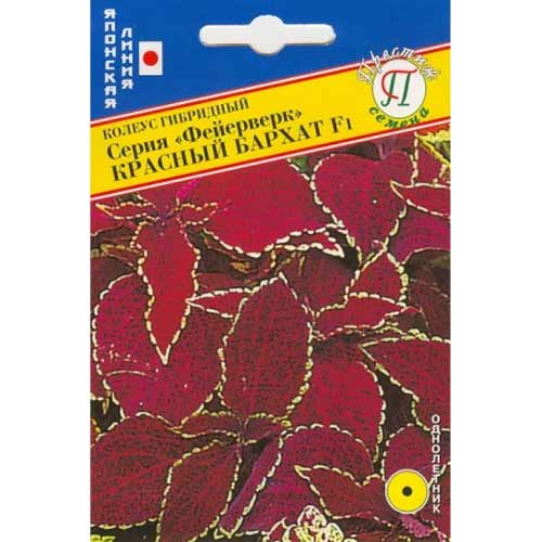 Колеус Фейерверк Красный бархат F1 Престиж артикул фото 1 Колеус Фейерверк Красный бархат F1 Престиж изображение 1 артикул 71452