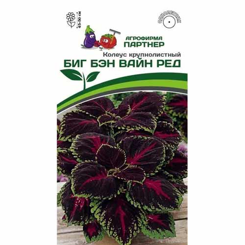Колеус крупнолистный Биг Бэн Вайн Ред Партнер изображение 1 артикул 40805