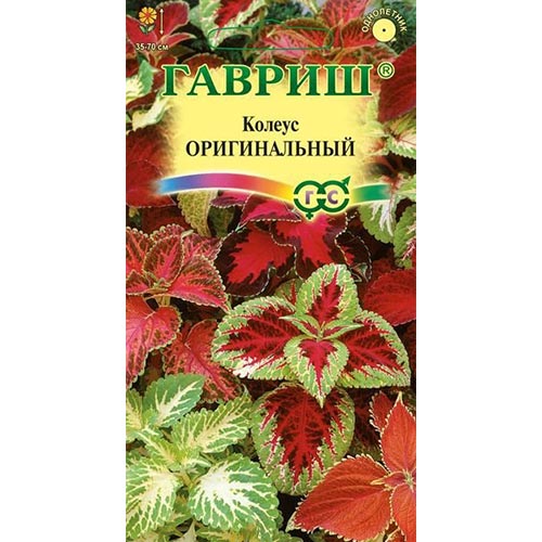 Колеус Оригинальный, смесь окрасок Гавриш изображение 1 артикул 92098