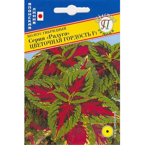 Колеус Радуга Цветочная гордость F1 Престиж изображение 1 артикул 71451