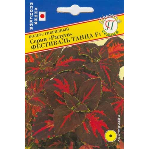 Колеус Радуга Фестиваль танца F1 Престиж изображение 1 артикул 71450