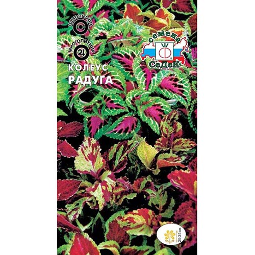 Колеус Радуга, смесь окрасок Седек изображение 1 артикул 93822