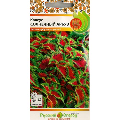 Колеус Солнечный арбуз НК изображение 1 артикул 92534