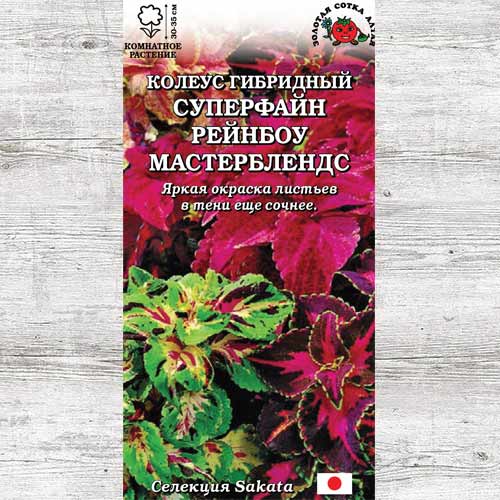 Колеус Суперфайн Рейнбоу Мастербленд изображение 1 артикул 83705