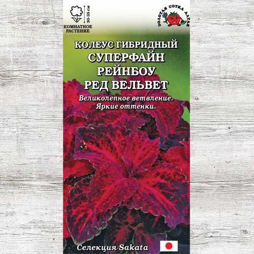 Колеус Суперфайн Рейнбоу Ред Вельвет изображение 1 артикул 83706