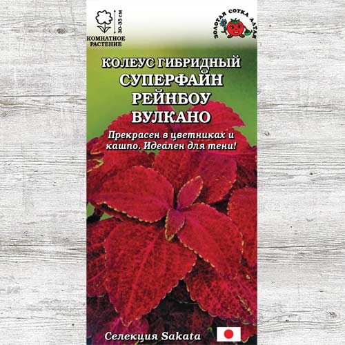 Колеус Суперфайн Рейнбоу Вулкано изображение 1 артикул 83703