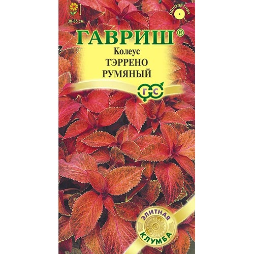 Колеус Тэррено румяный Гавриш изображение 1 артикул 92099