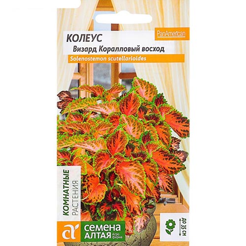 Колеус Визард Коралловый Восход Семена Алтая изображение 1 артикул 94179