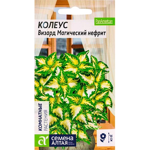 Колеус Визард Магический Нефрит Семена Алтая изображение 1 артикул 94180