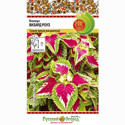 Колеус Визард Роуз Русский огород НК изображение 1 артикул 92532