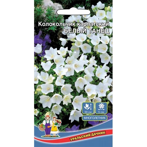 Колокольчик Белый танец Уральский дачник изображение 1 артикул 94811