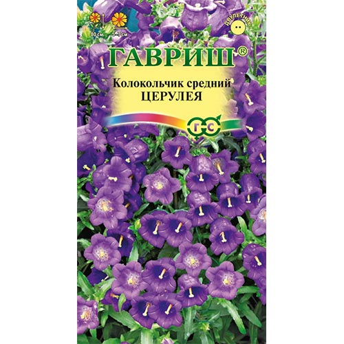 Колокольчик Церулея Гавриш изображение 1 артикул 92108