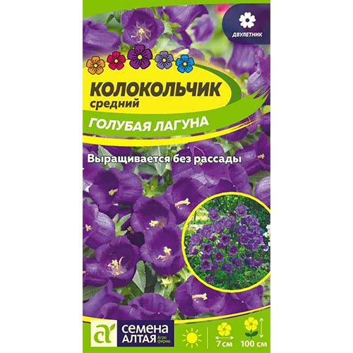 Колокольчик Голубая лагуна Семена Алтая изображение 1 артикул 94889