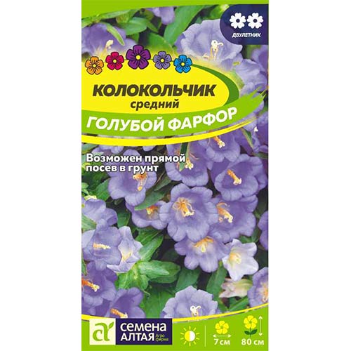 Колокольчик Голубой фарфор Семена Алтая изображение 1 артикул 78204