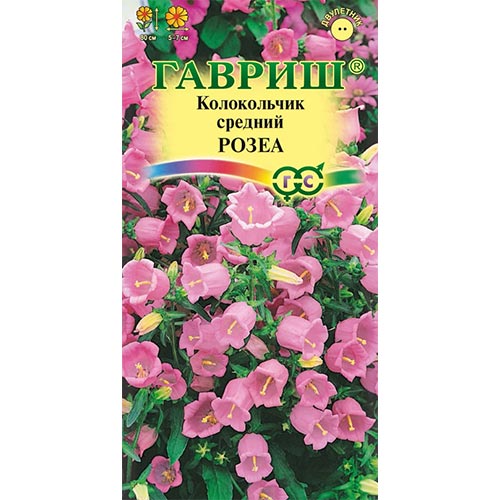 Колокольчик Розеа Гавриш изображение 1 артикул 92105