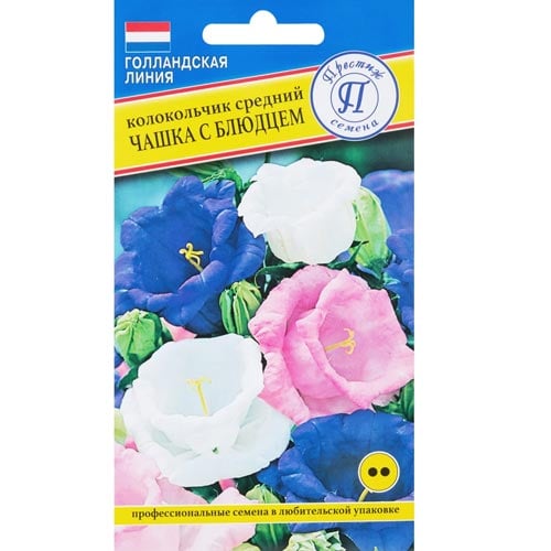 Колокольчик Чашка с блюдцем, смесь окрасок Престиж изображение 1 артикул 81348
