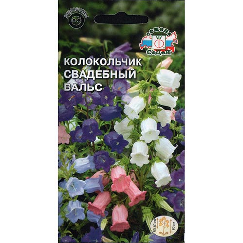 Колокольчик Свадебный вальс, смесь окрасок Седек изображение 1 артикул 93827