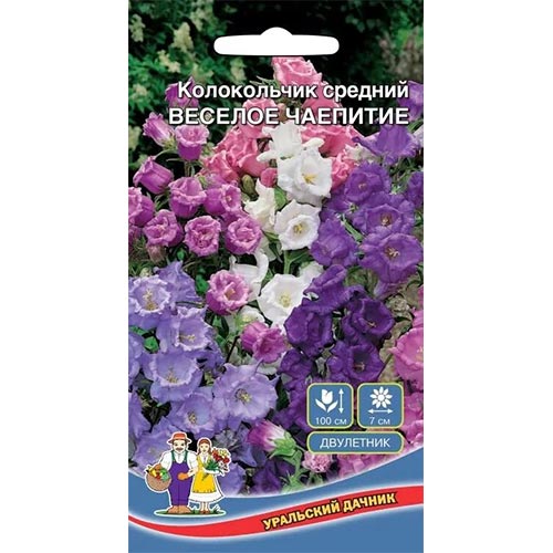 Колокольчик Веселое чаепитие, смесь окрасок Уральский дачник изображение 1 артикул 94812